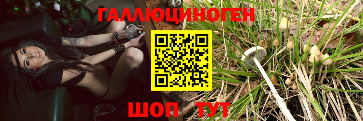 Галлюциногенные грибы мицелий Артёмовский